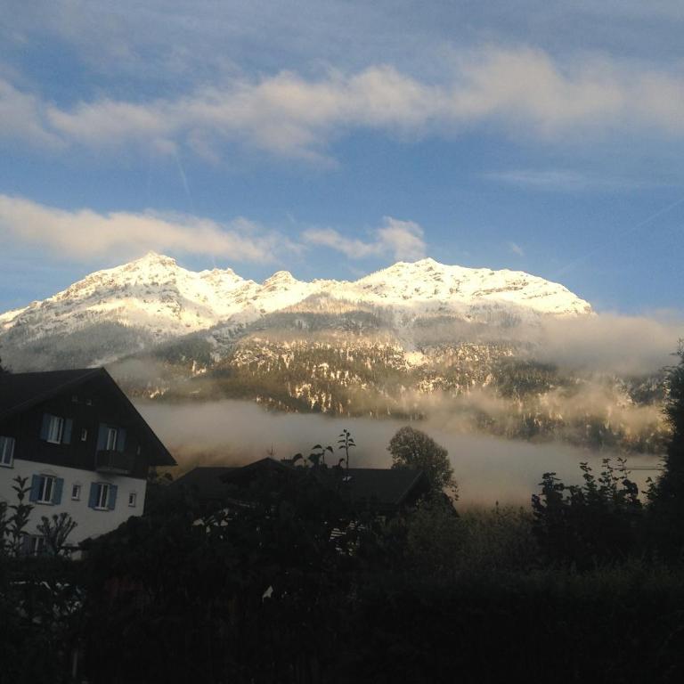 Am Park - Apartment mit Blick auf die Berge - 3