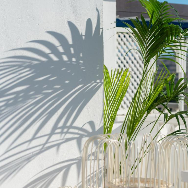 Wonderful Penthouse 3 bedrooms in Puerto Banús -Marbella - Apartamento de 3 dormitorios - 56