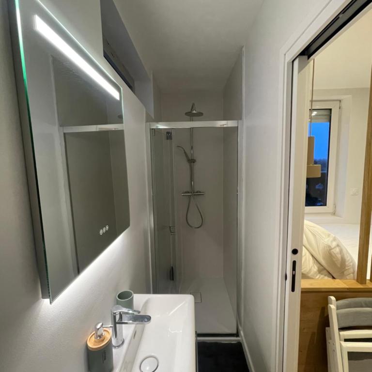 La vigie Malouine - Front de mer - 3 appartements - Studio with Garden View - 3