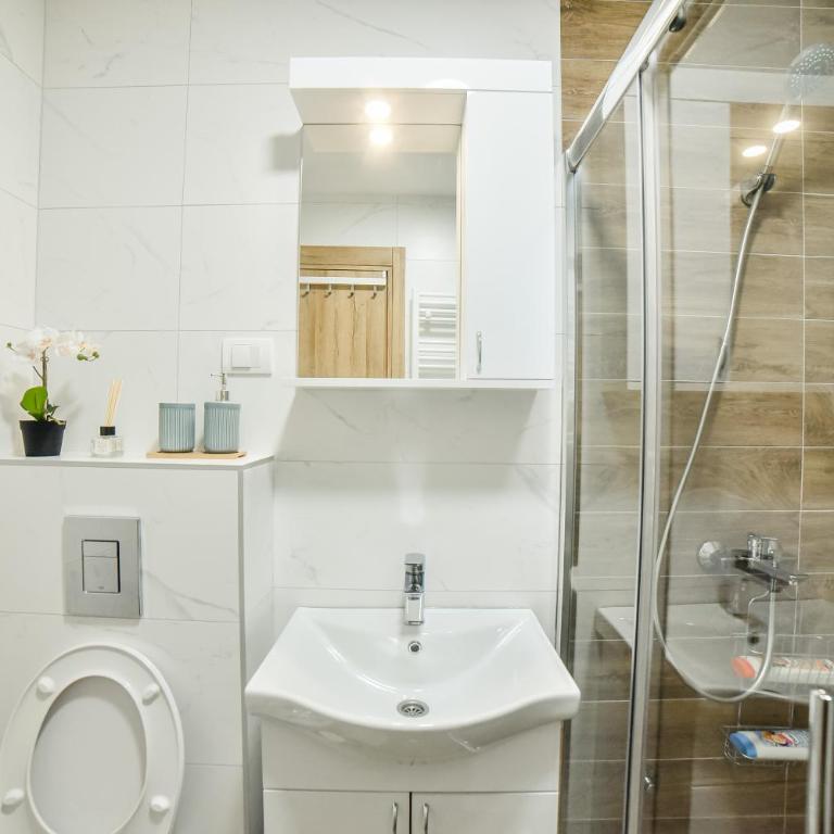 4Rest & 4Joy - Apartman sa 1 Spavaćom Sobom - 30