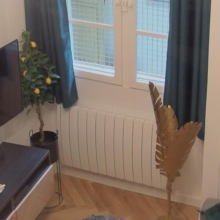 Le Somptueux - A 200m du Passage Pommeraye - Appartement 1 Chambre - 17