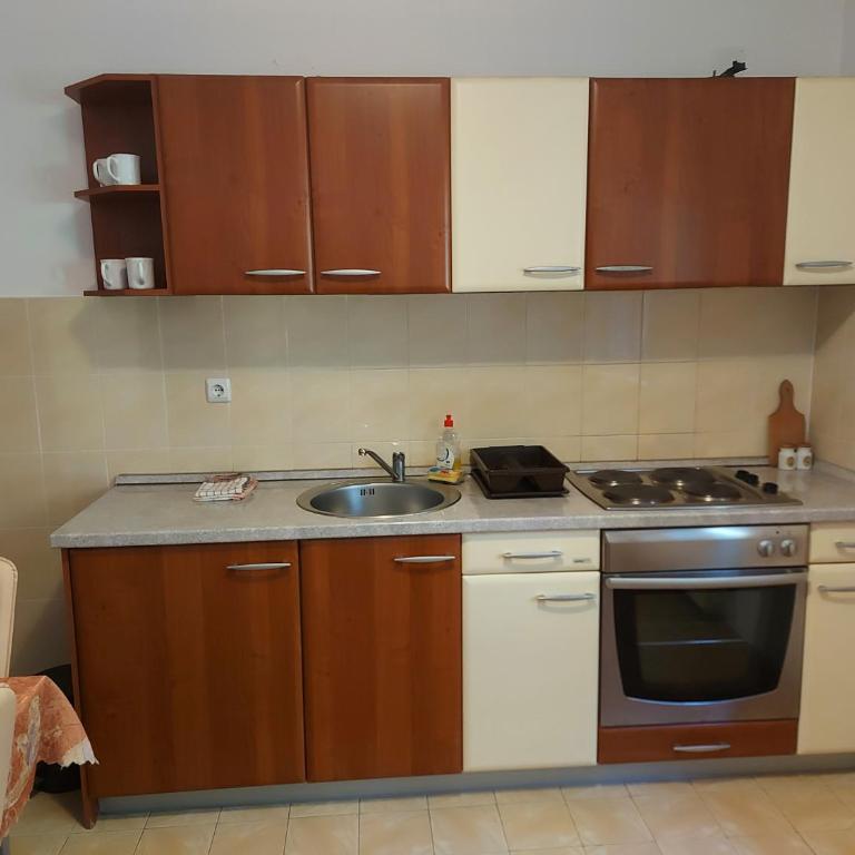 Apartmani vila Todor - Apartman - Prizemlje - 3