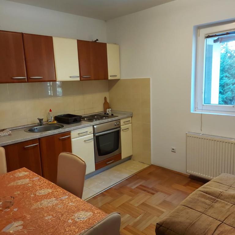 Apartmani vila Todor - Apartman - Prizemlje - 2