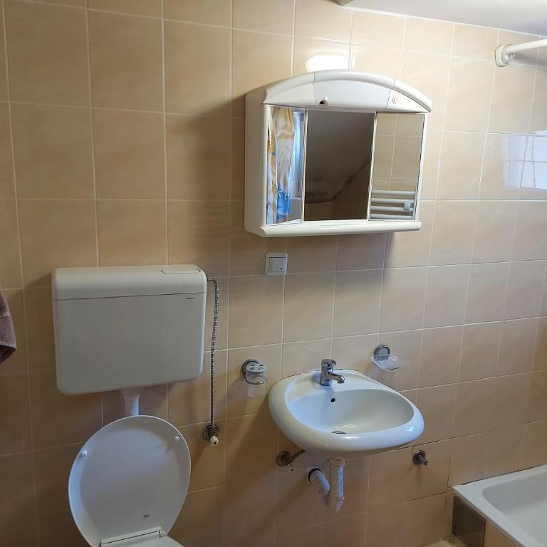 Apartmani vila Todor - Apartman - Prizemlje - 1
