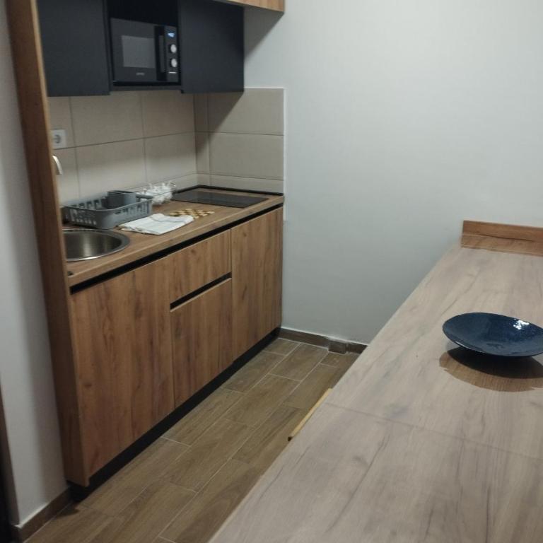 Sunčana Planina Kopaonik - Apartman sa 1 Spavaćom Sobom - 2