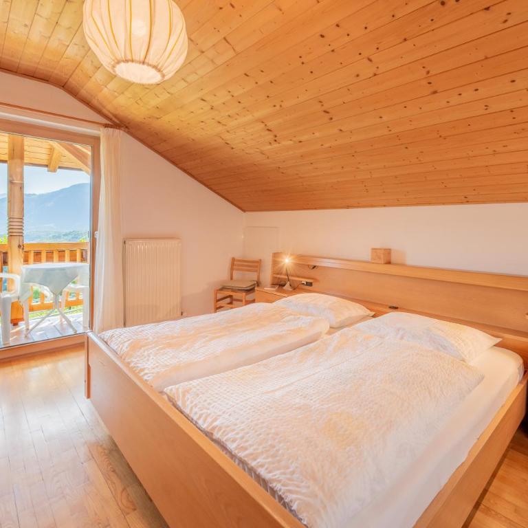 Gfillhof Ferienwohnung 2 - Appartamento con 1 Camera da Letto - 2