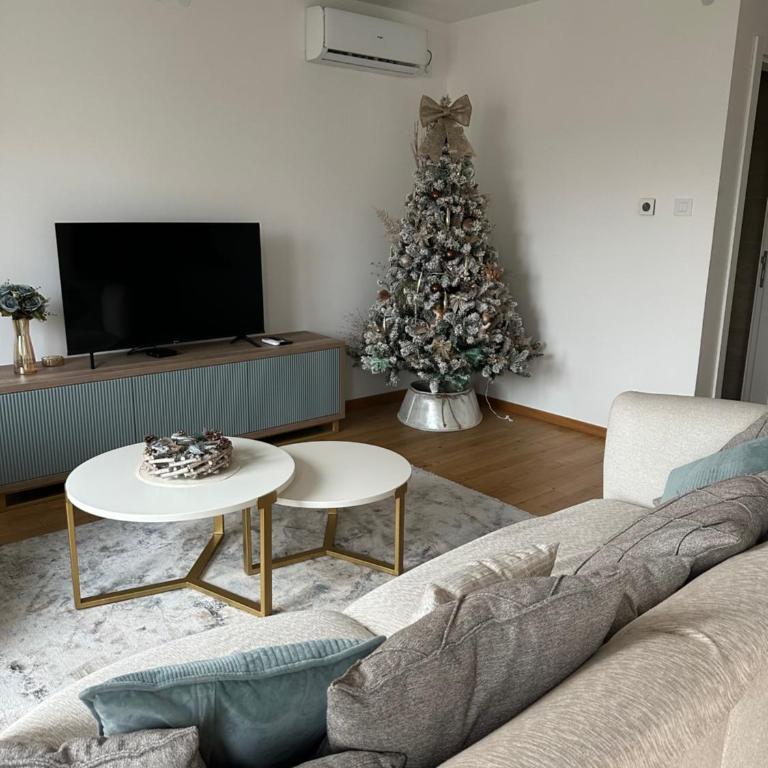 Plava Zvezda Centar Free Garage - Apartman sa 2 Spavaće Sobe - 2