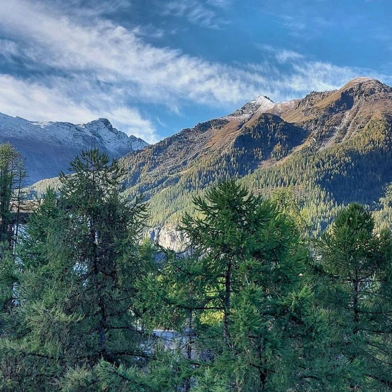 Grand appart 6 pers avec balcon, wifi et superbe vue - FR-1-322-532 - Apartment - 17