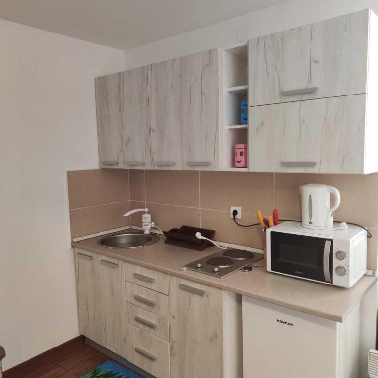Castello apartman Kopaonik Kraljevi Cardaci komplex - Apartman sa 1 Spavaćom Sobom - 18