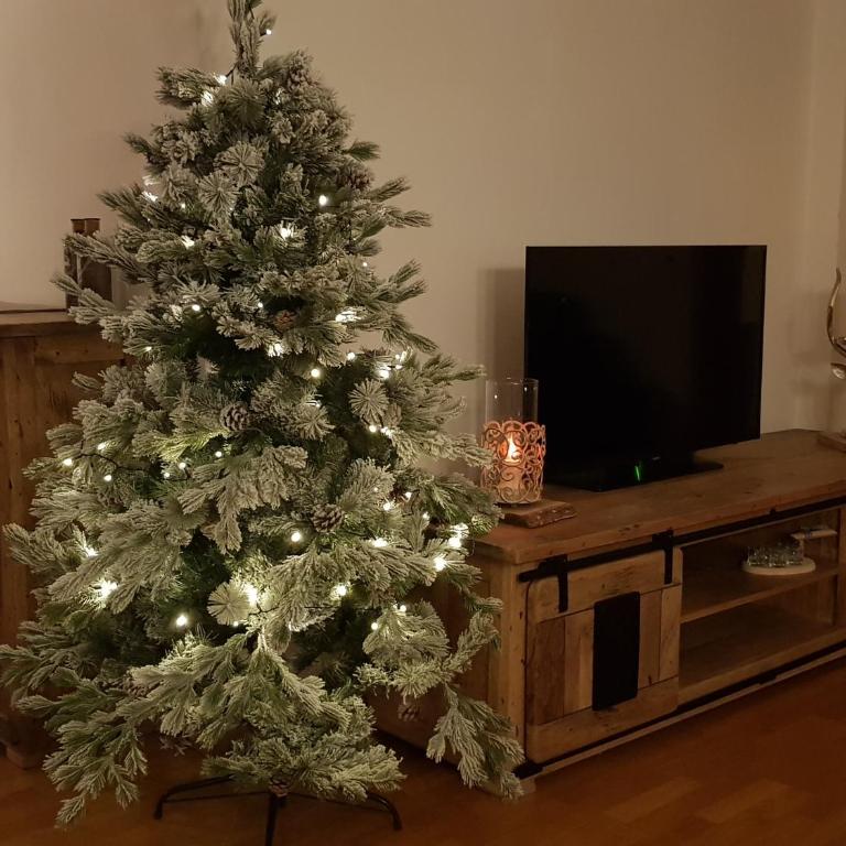 Alpin Resort Kaprun Top 6 - Apartment mit 2 Schlafzimmern - 8