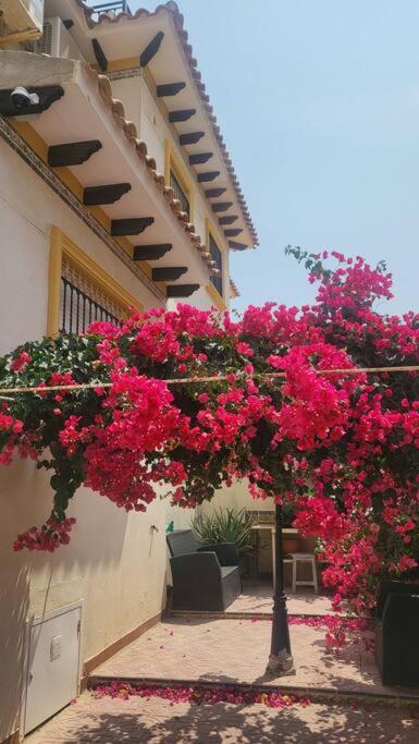 Casa Mario, La Zenia Boulevard area,fantastic 2 bedrooms, 2 bathrooms house with communal swimming pool and barbecue - Apartamento de 2 dormitorios - 19