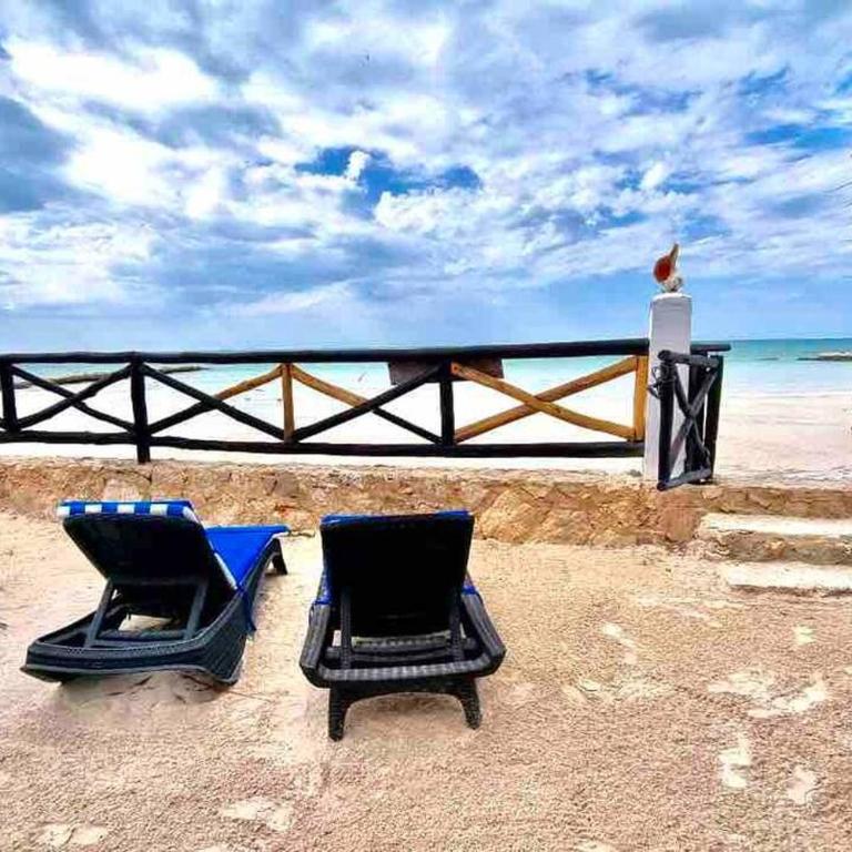 Casa Libelula Beachfront House - Villa de 3 dormitorios - 10