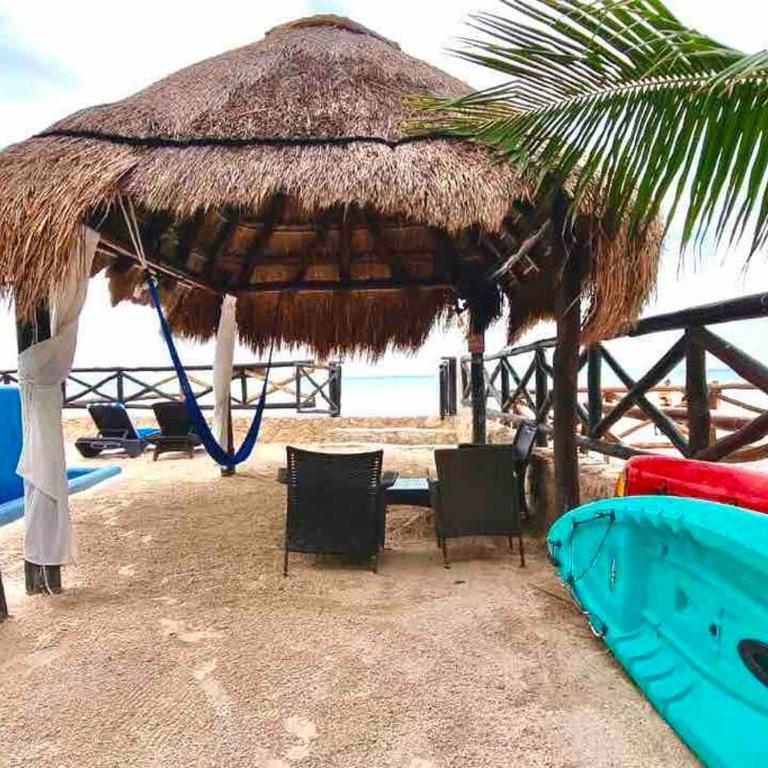 Casa Libelula Beachfront House - Villa de 3 dormitorios - 24