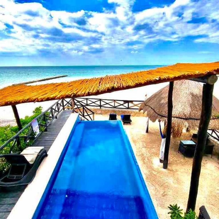 Casa Libelula Beachfront House - Villa de 3 dormitorios - 46