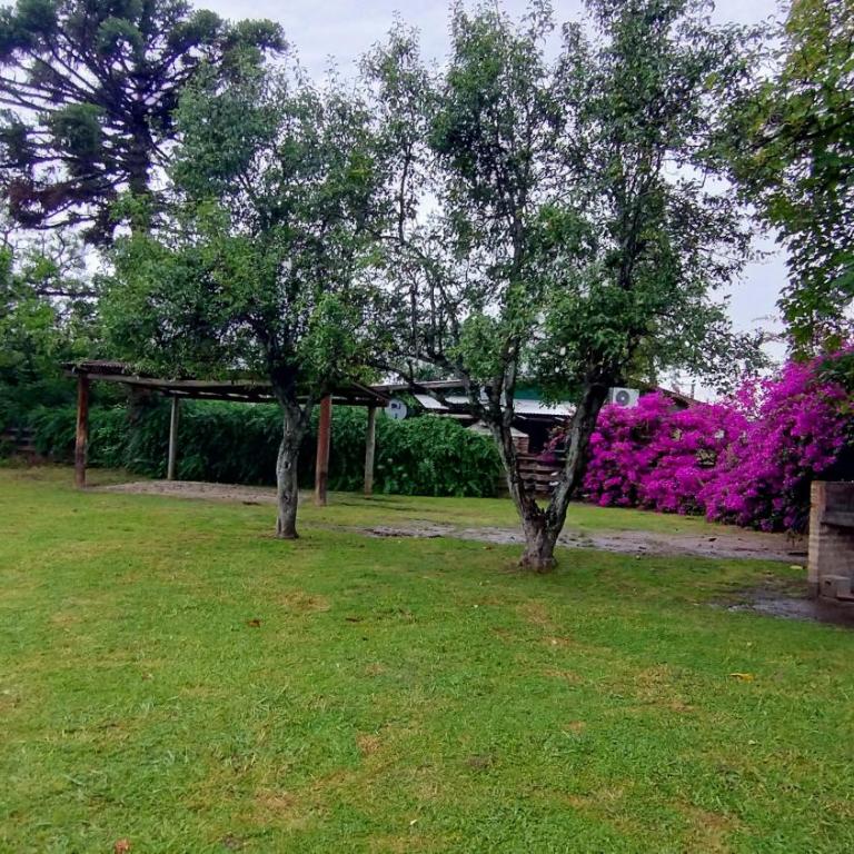 Terrazas - One-Bedroom Apartment - 13