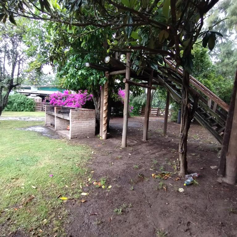 Terrazas - One-Bedroom Apartment - 17