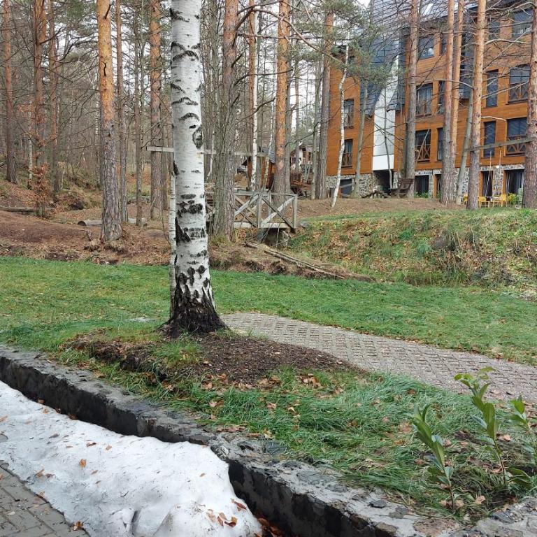 Mountain Dreams - Three-Bedroom Apartment - 18