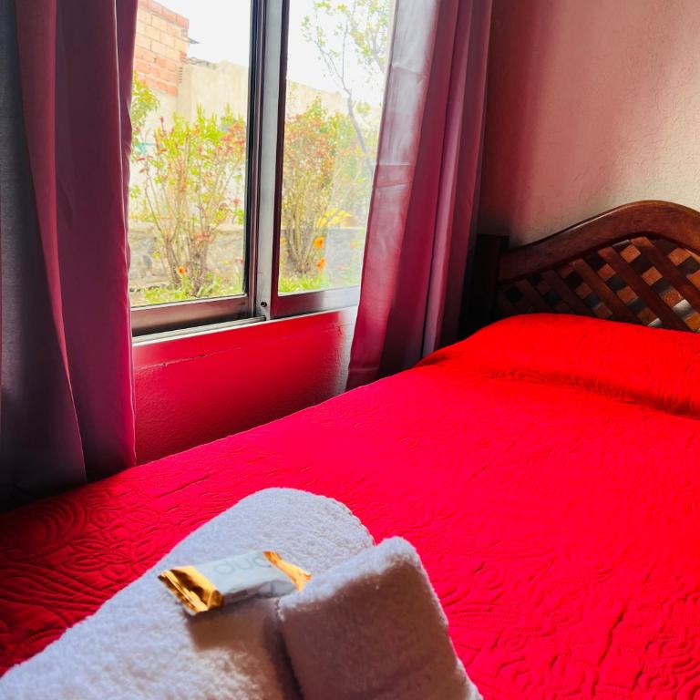 Hospedaje Flores del Sur - Habitación Estándar con baño compartido - 2 camas - 3