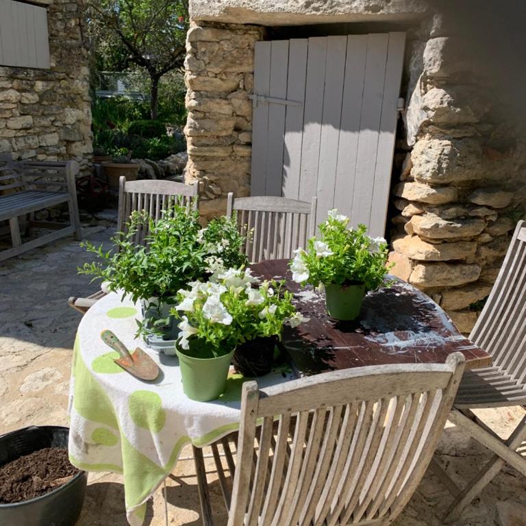le mas du lavoir - Villa - 20