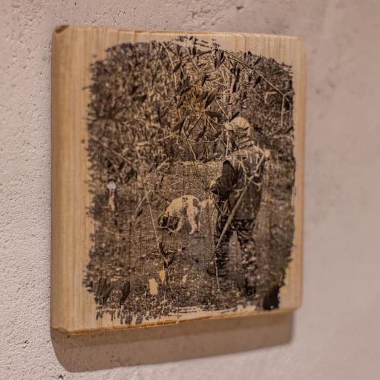 Truffle House Tuscany Tuber Aestivium Vitt - Appartamento con 1 Camera da Letto - 25
