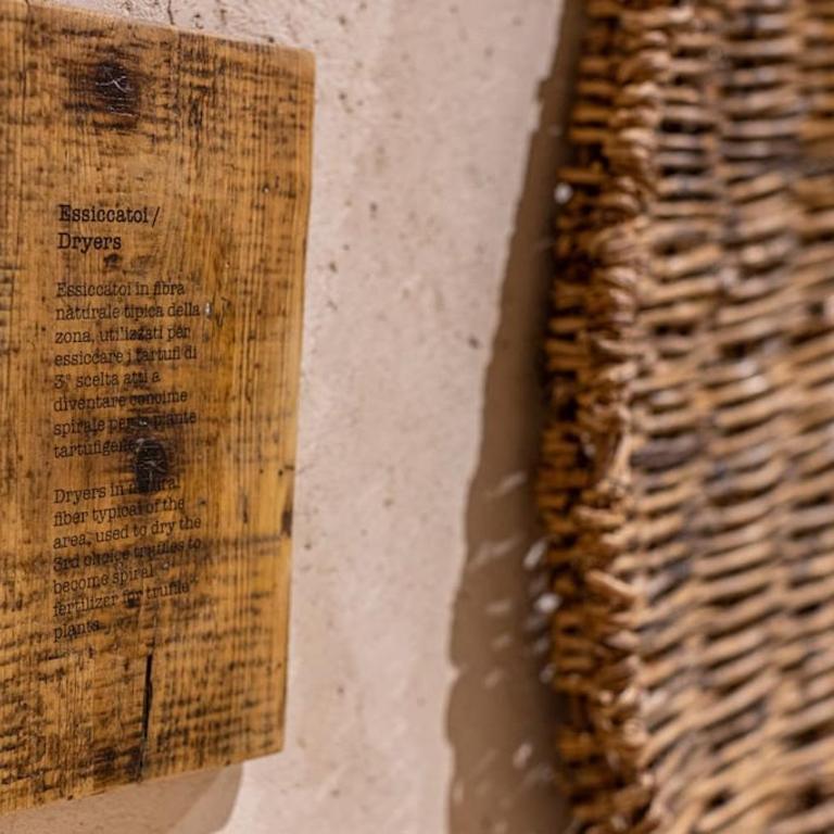 Truffle House Tuscany Tuber Aestivium Vitt - Appartamento con 1 Camera da Letto - 31