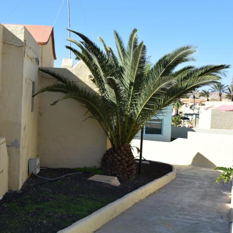 Casa Zizi - Apartamento de 2 dormitorios - 68