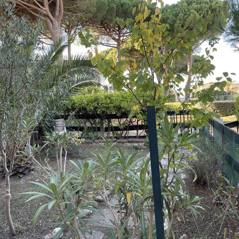 Appartement RDC à Port Camargue - 6 Couchages, Accès Direct Plage, Parking, Jardin - FR-1-250-263 - Apartment - 3