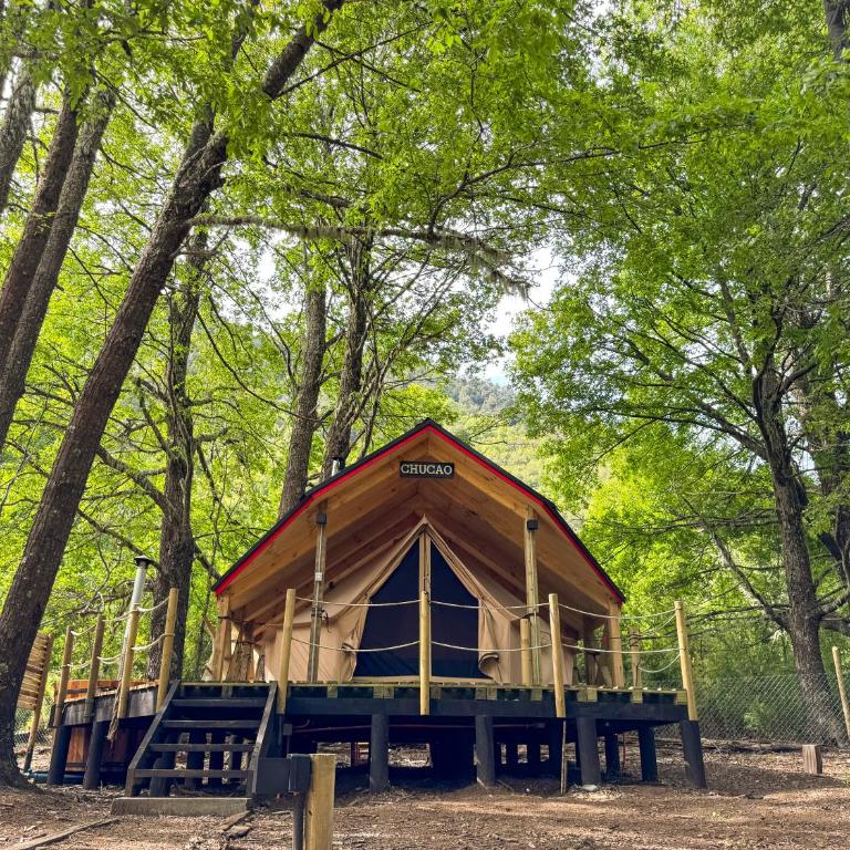 Casa del Árbol - Glamping - Habitación Doble con vistas al parque - 1