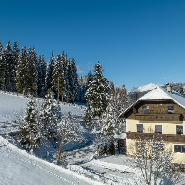 Appartementhaus Schmalzermoos - Apartment mit 3 Schlafzimmern - 21