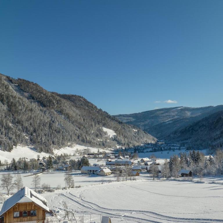 Appartementhaus Schmalzermoos - Apartment mit 3 Schlafzimmern - 17
