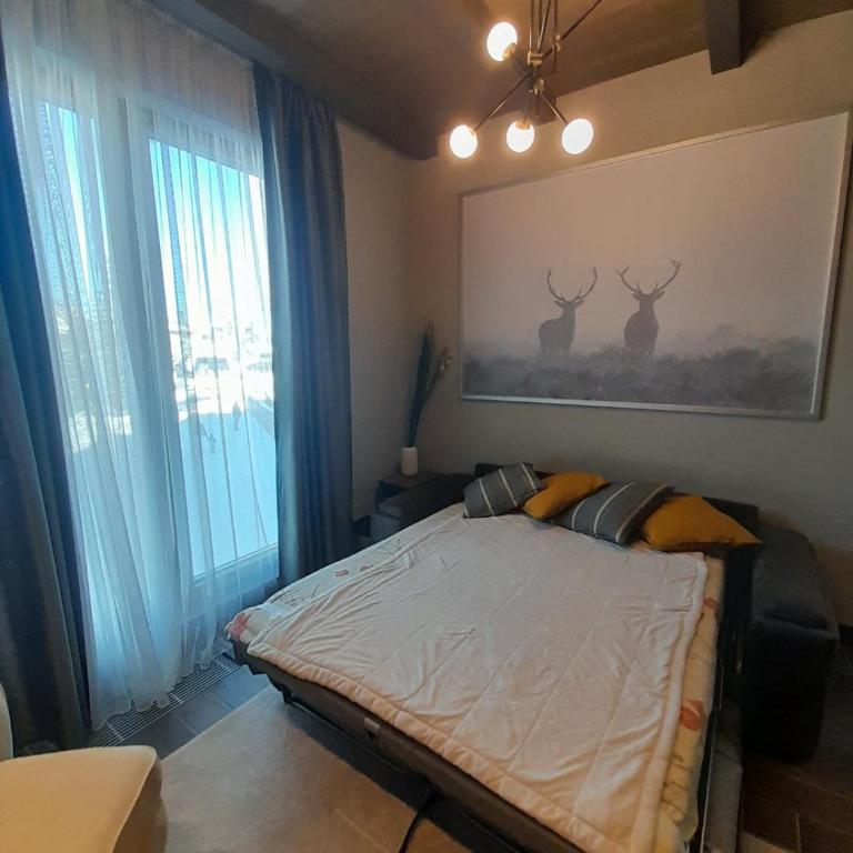 Woodside RENT Kopaonik - Apartman sa 1 Spavaćom Sobom - 23