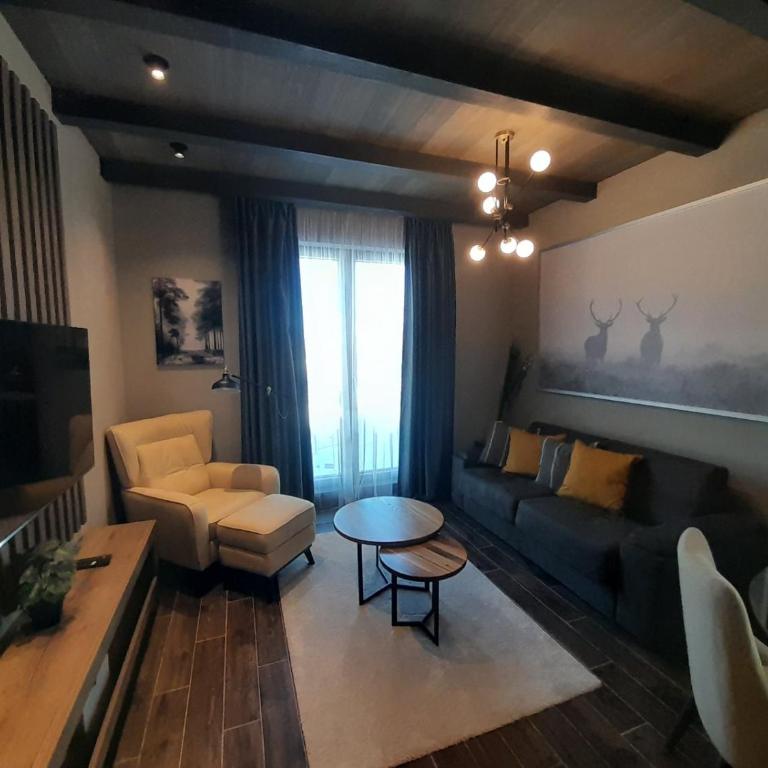 Woodside RENT Kopaonik - Apartman sa 1 Spavaćom Sobom - 14