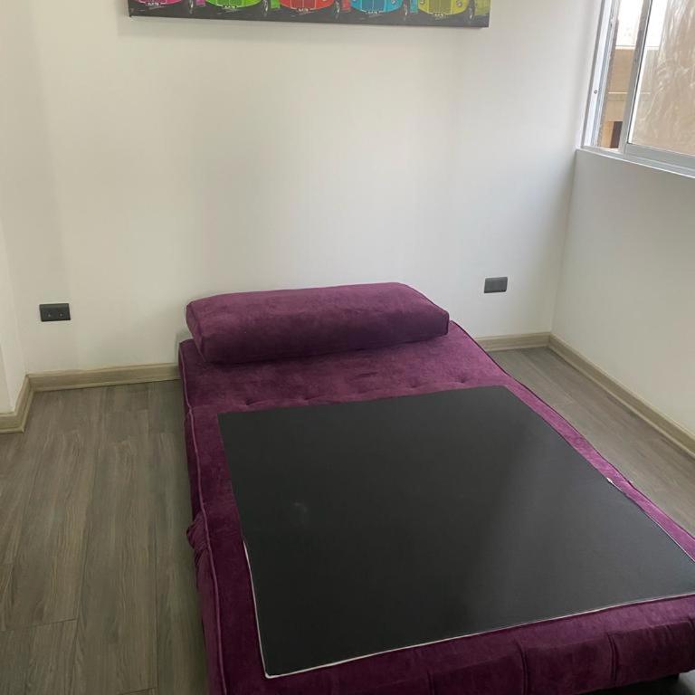 Ñuñoa, Bello departamento, La mejor ubicacion - Apartamento de 1 dormitorio - 11