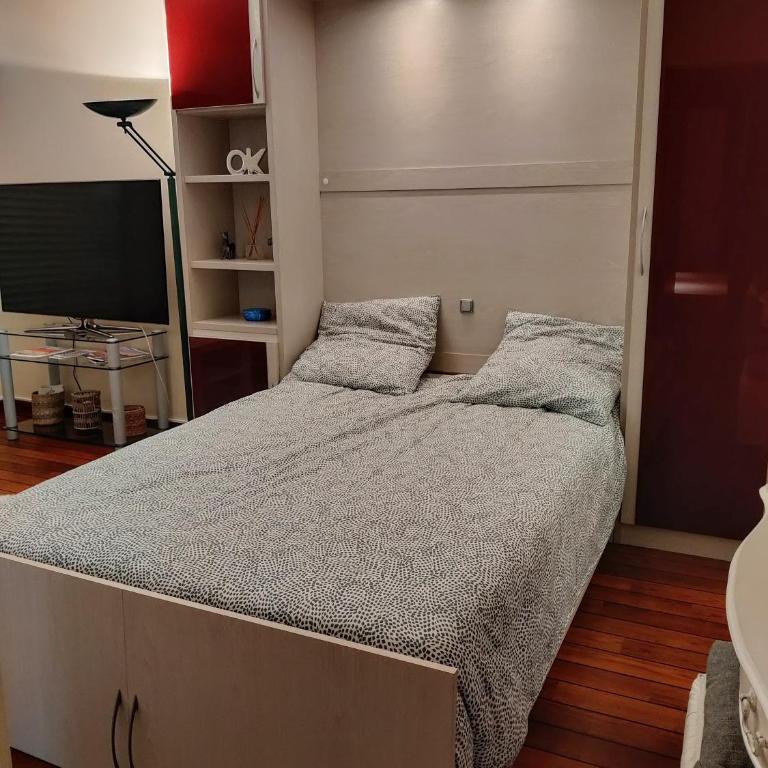 Bel appartement refait à neuf, calme et ensoleillé - Apartamento de 1 dormitorio - 7