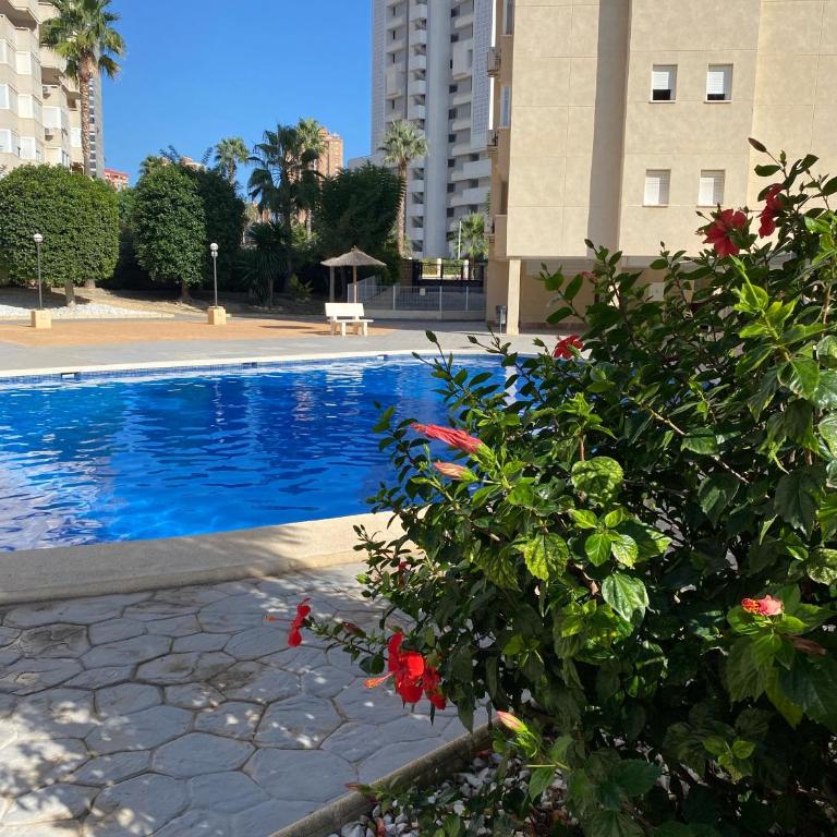 CASA GIA l Luxury apartment Benidorm - One-Bedroom Apartment - 45