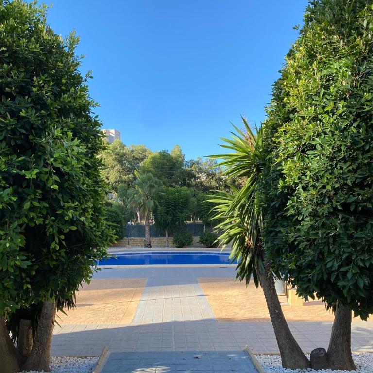 CASA GIA l Luxury apartment Benidorm - One-Bedroom Apartment - 64