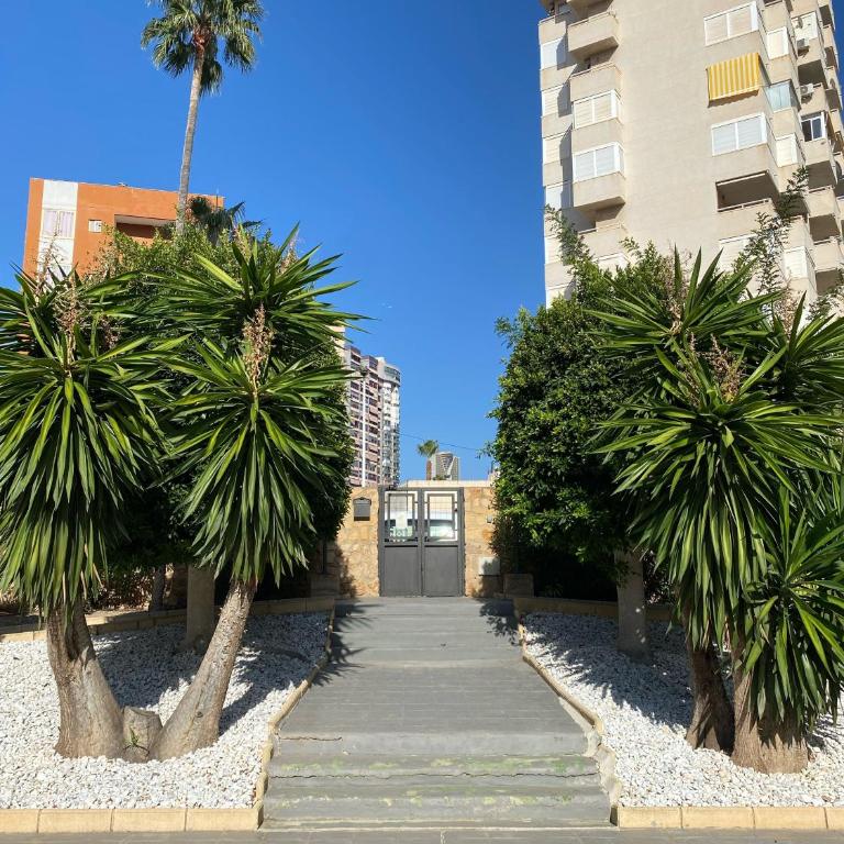 CASA GIA l Luxury apartment Benidorm - One-Bedroom Apartment - 65