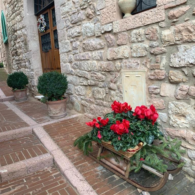 B&B La Zuppa Inglese - Luxury Suite - 14