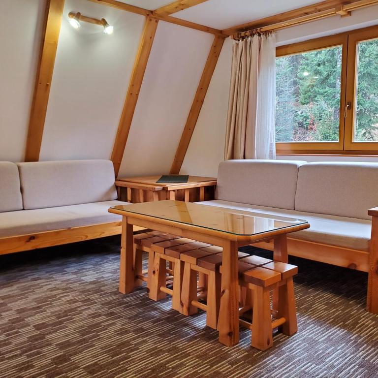 Apartmani "Jakovljević" Jahorina - Apartment with Mountain View - 3