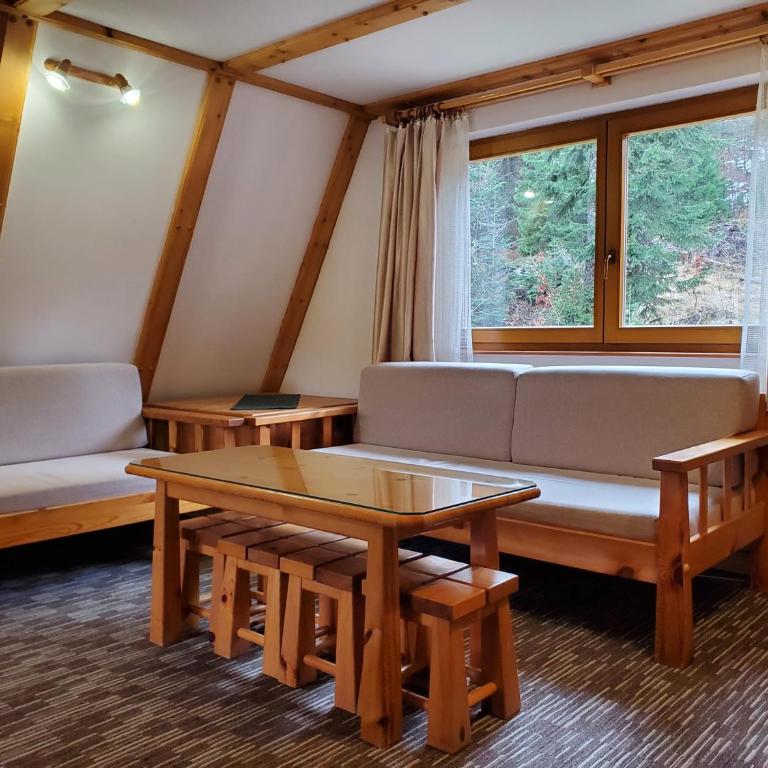 Apartmani "Jakovljević" Jahorina - Apartment with Mountain View - 4