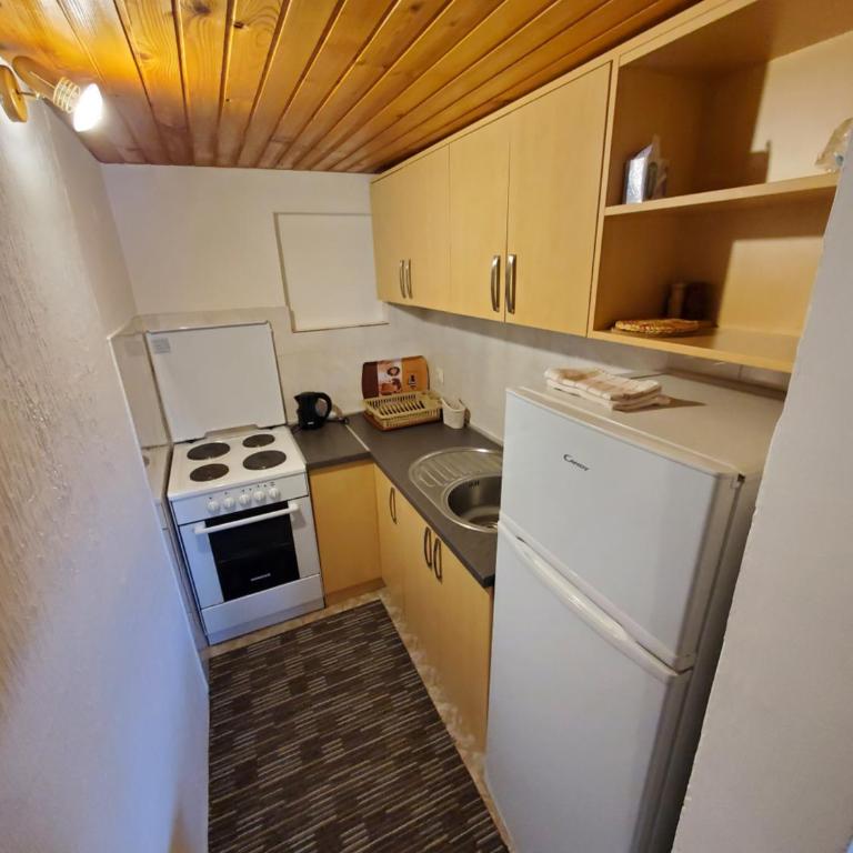 Apartmani "Jakovljević" Jahorina - Apartment with Mountain View - 11