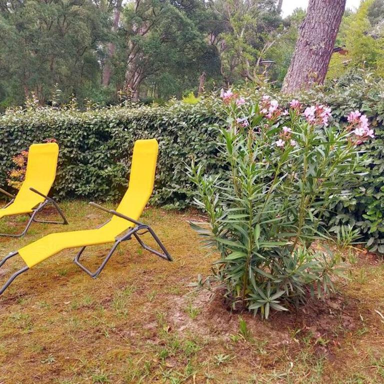 Villa sous les pins, plage à pied! Seignosse Océan - Villa am Strand - 31