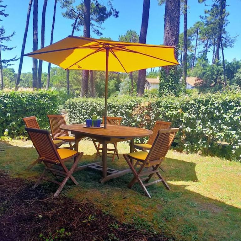 Villa sous les pins, plage à pied! Seignosse Océan - Villa am Strand - 3
