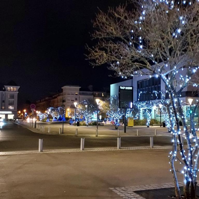 Appt 4P, parking, Disney direct, Vallée Village - Apartment mit 1 Schlafzimmer - 42
