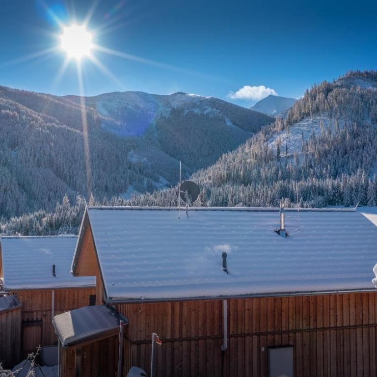Chalet in Hohentauern - Chalet Ana - Superior Chalet - 40