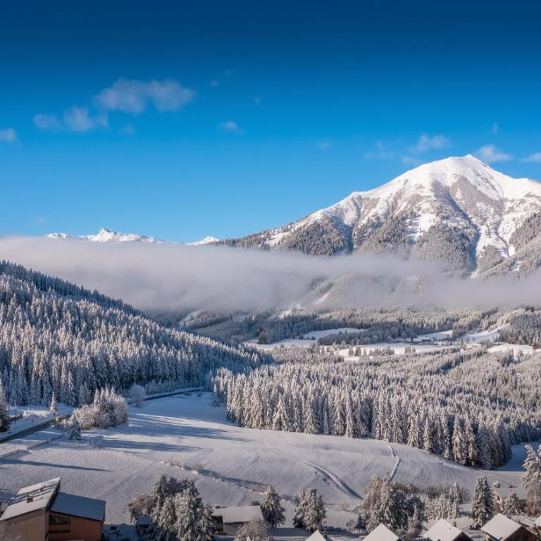 Chalet in Hohentauern - Chalet Ana - Superior Chalet - 70