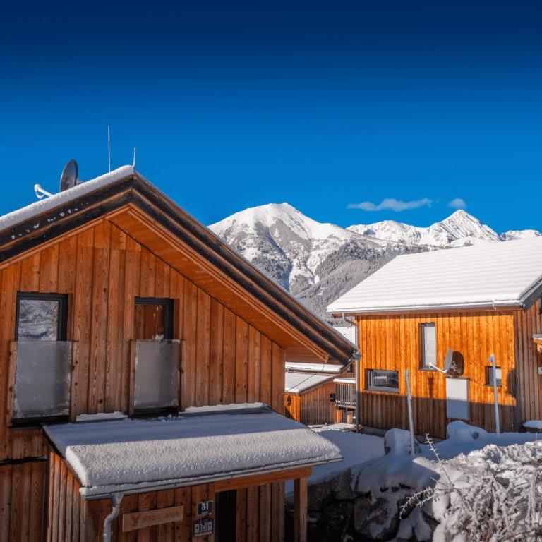 Chalet in Hohentauern - Chalet Ana - Superior Chalet - 42