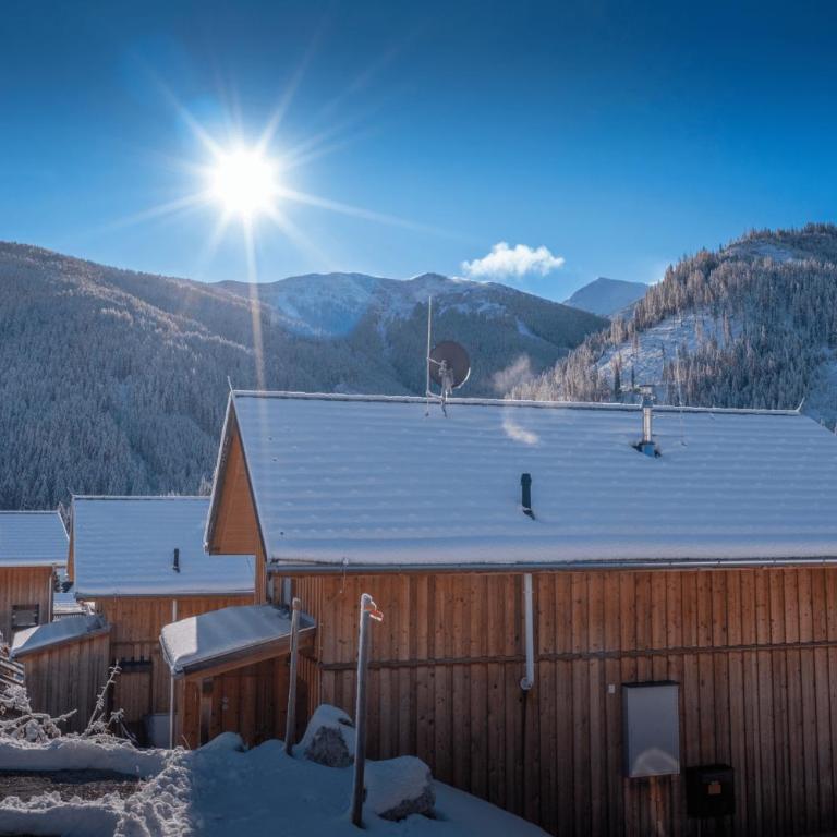 Chalet in Hohentauern - Chalet Ana - Superior Chalet - 71