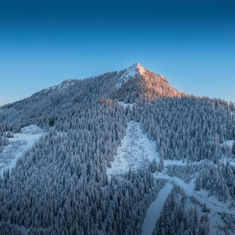 Chalet in Hohentauern - Chalet Ana - Superior Chalet - 72