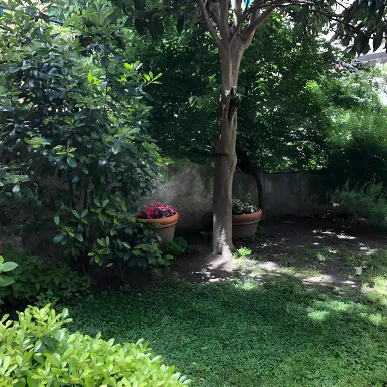 Appartamento Pet-Friendly nel Centro Storico di Genova - Two-Bedroom Apartment - 20